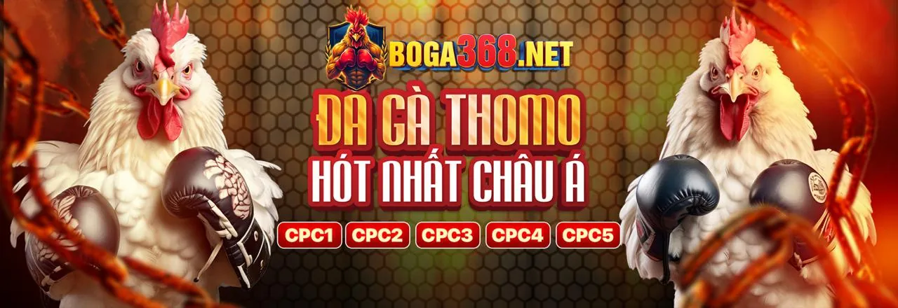 Phân Tích & Chiến Lược Cá Cược
