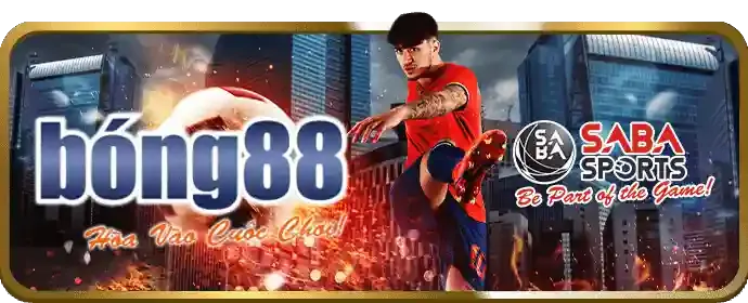Hải Vương fb9 win